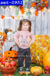 set-0951